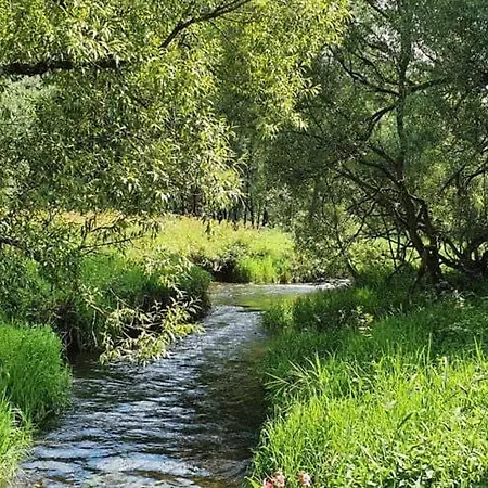 شاليه Traditional With Garden Near مالميدي