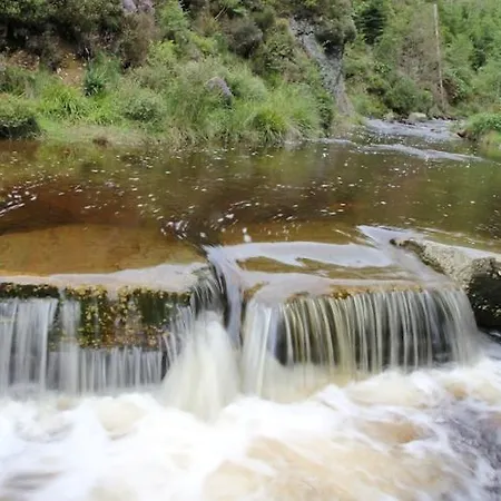 Quaint Chalet, Bernister شاليه مالميدي