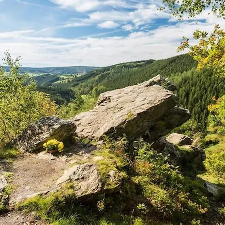 Quaint Chalet, Bernister شاليه *