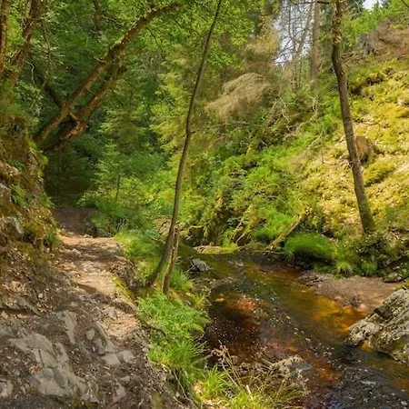 Quaint Chalet, Bernister *