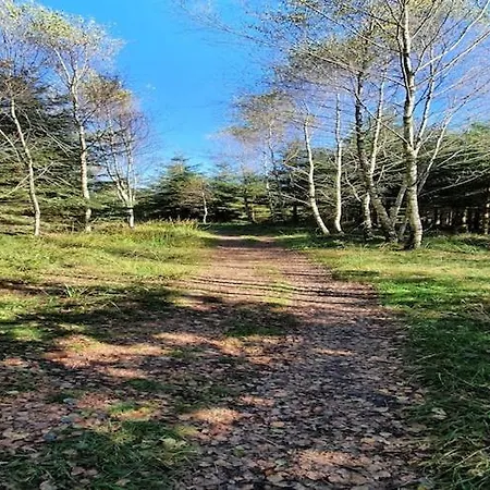 Quaint Chalet, Bernister * Malmedy